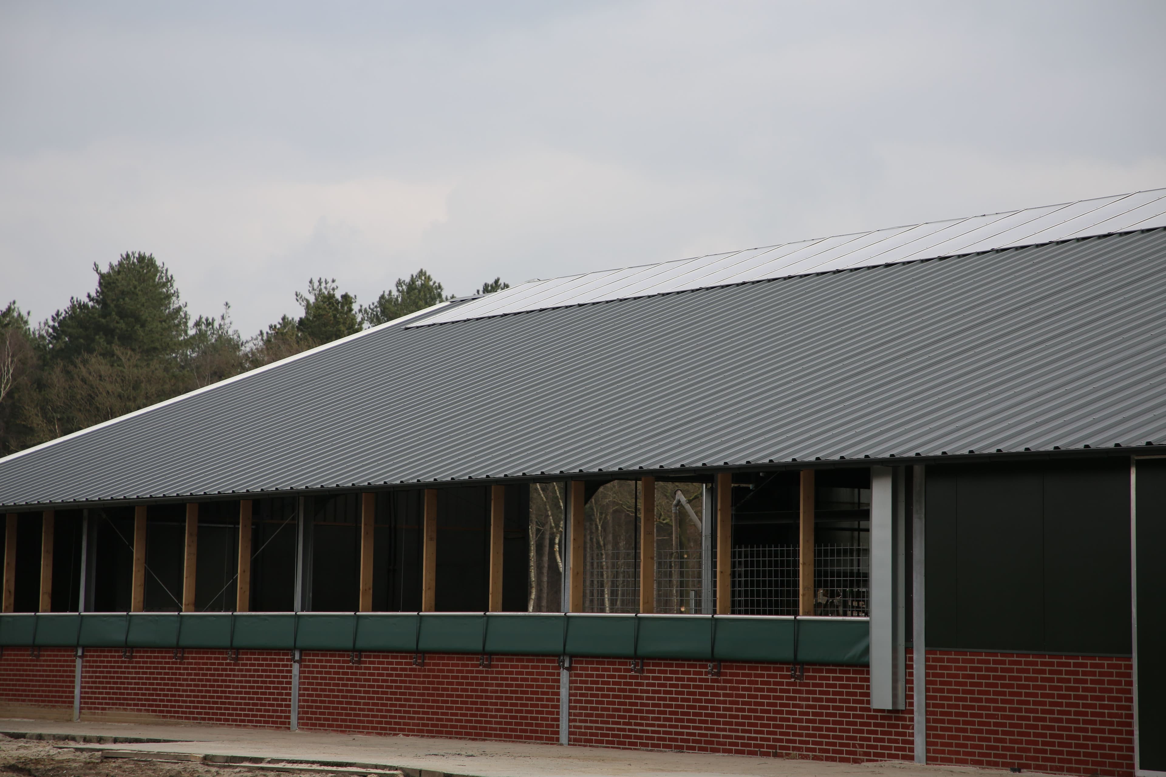 Dak van de melkveestal in Bornerbroek met geïsoleerde dakpanelen