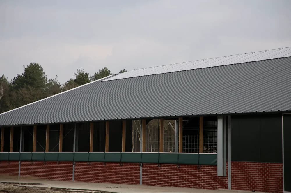 Dak van de melkveestal in Bornerbroek met geïsoleerde dakpanelen
