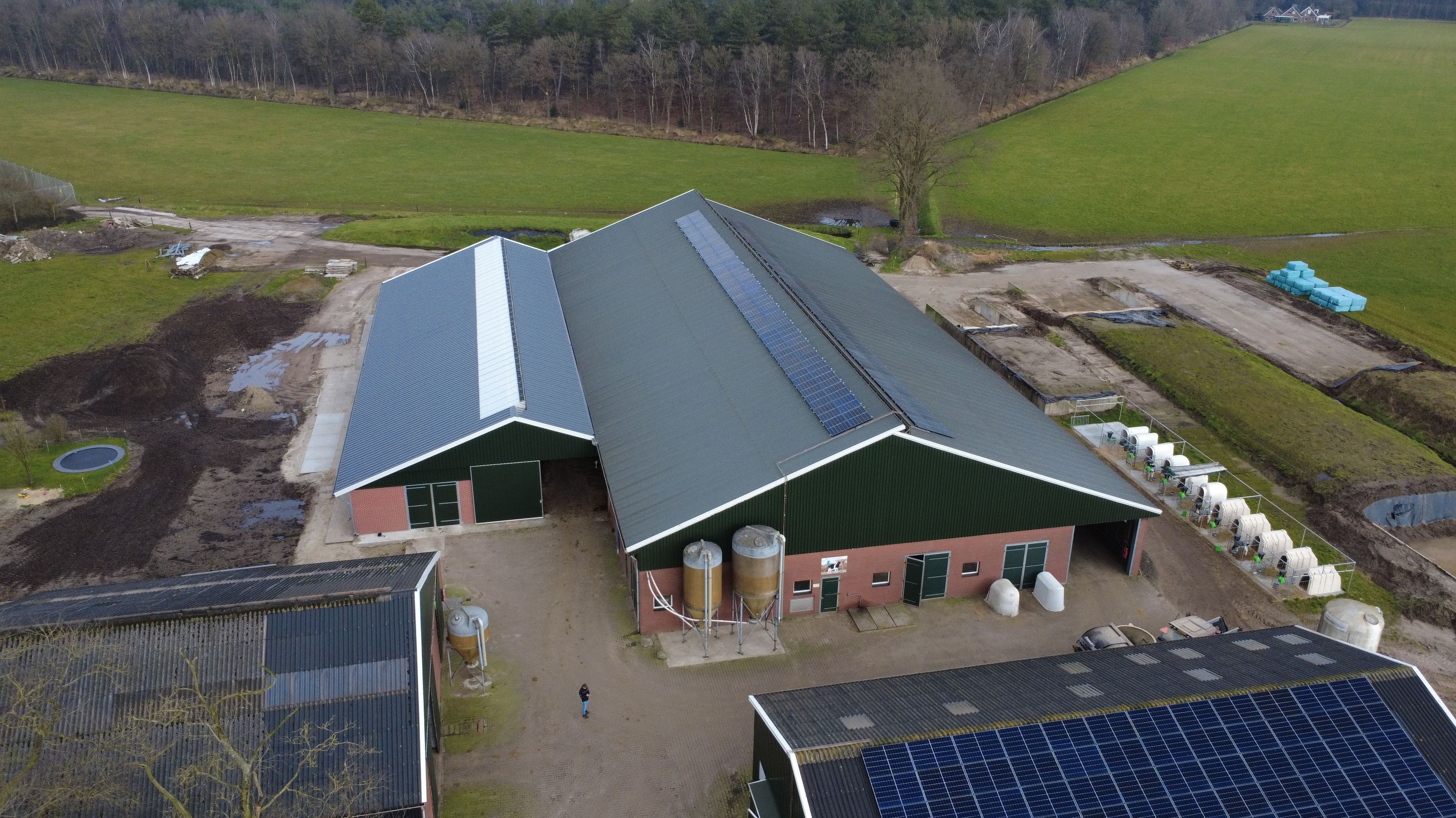 Overzicht van de melkveestal in Bornerbroek met geïsoleerde dakpanelen