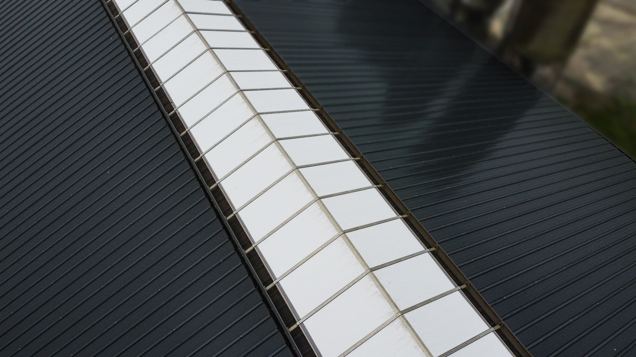 Lichtnok op het dak van de melkveestal in Dokkum voor extra daglicht in de stal