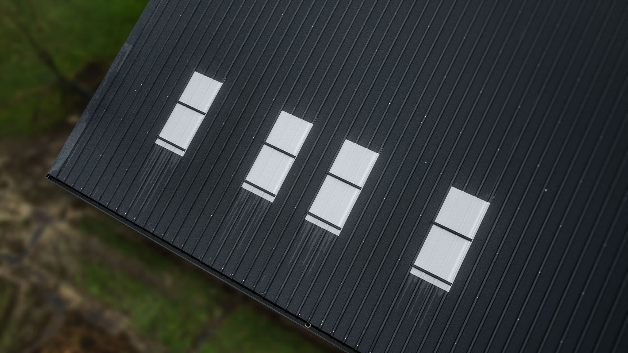 Dak van de melkveestal in Dokkum met lichtplaten voor extra daglicht