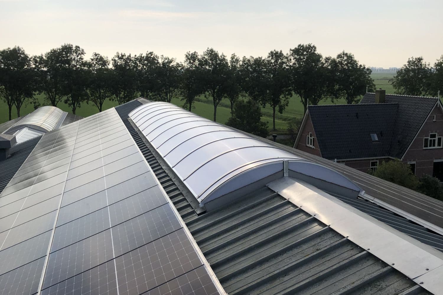 Gebogen lichtnok op dak van bedrijfshal met polycarbonaat beglazing