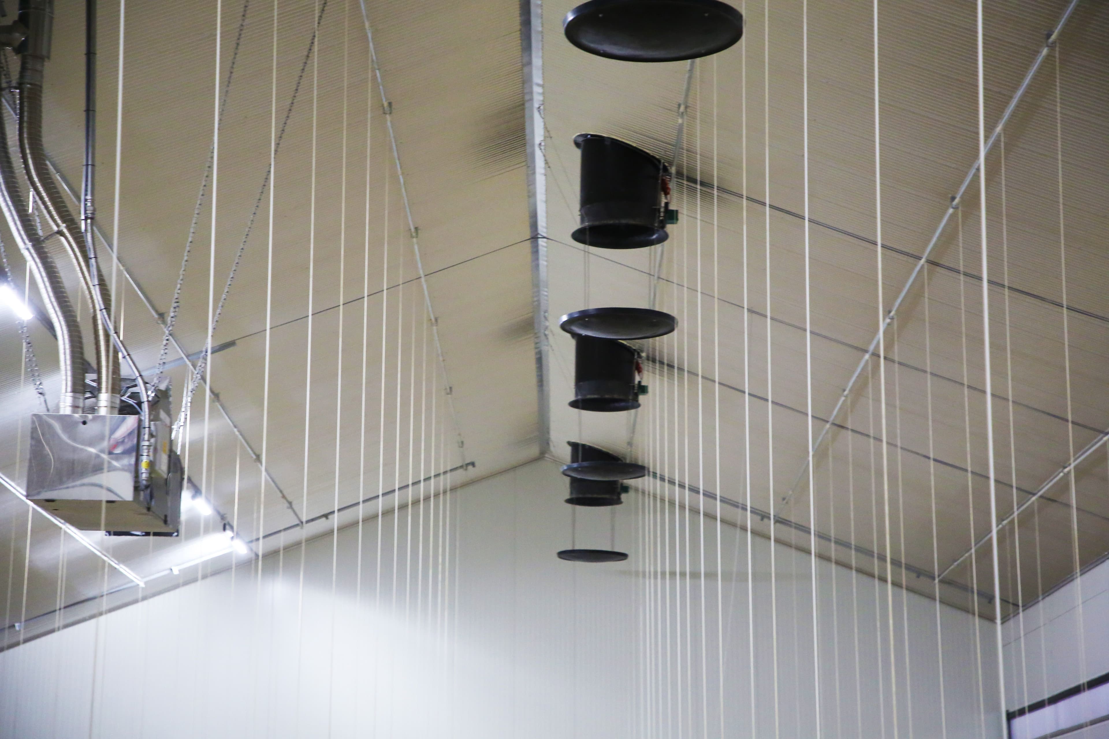 Ventilatiesysteem in de nok van de vleeskuikenstal in Putten