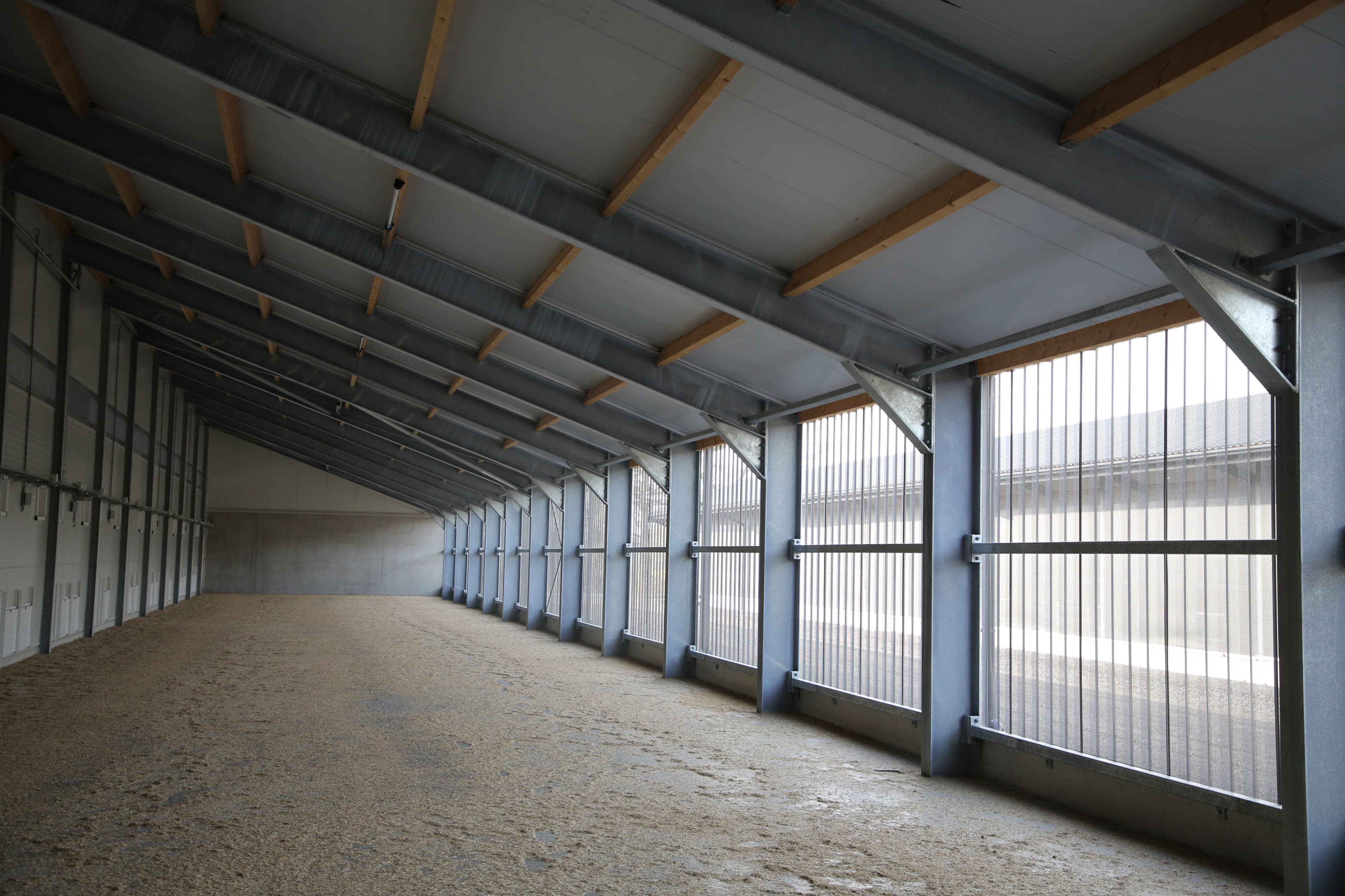 Binnenzijde van de vleeskuikenstal in Putten met stalen constructie en lichtpanelen