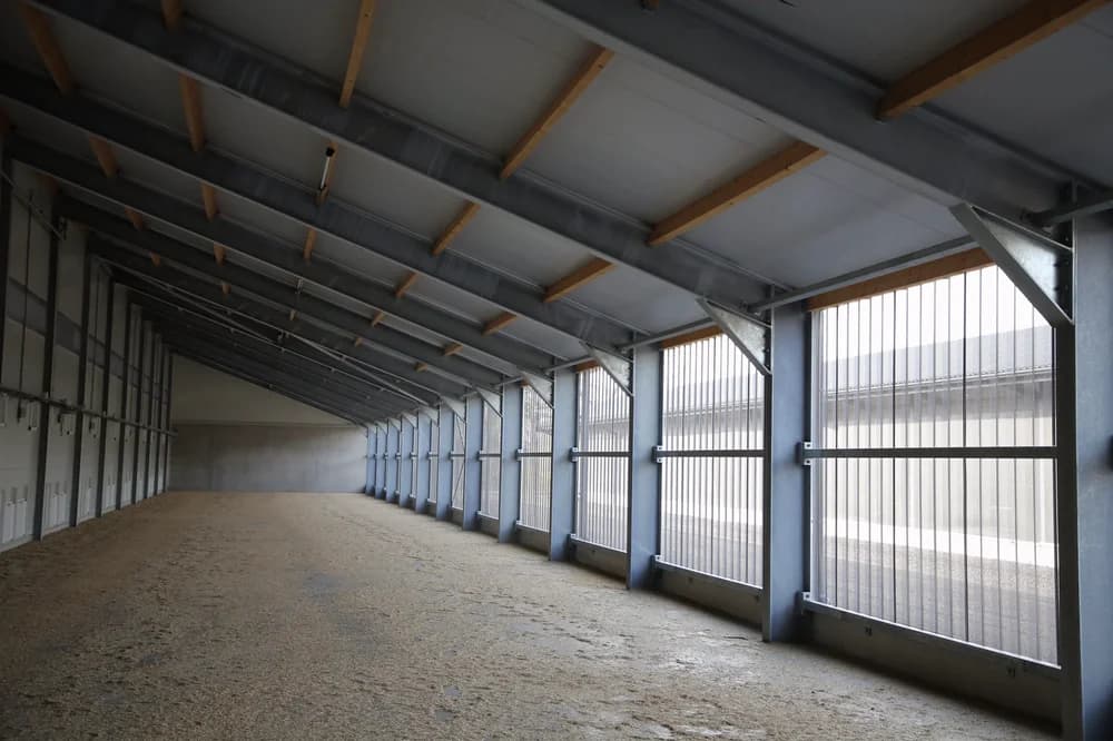 Binnenzijde van de vleeskuikenstal in Putten met stalen constructie en lichtpanelen