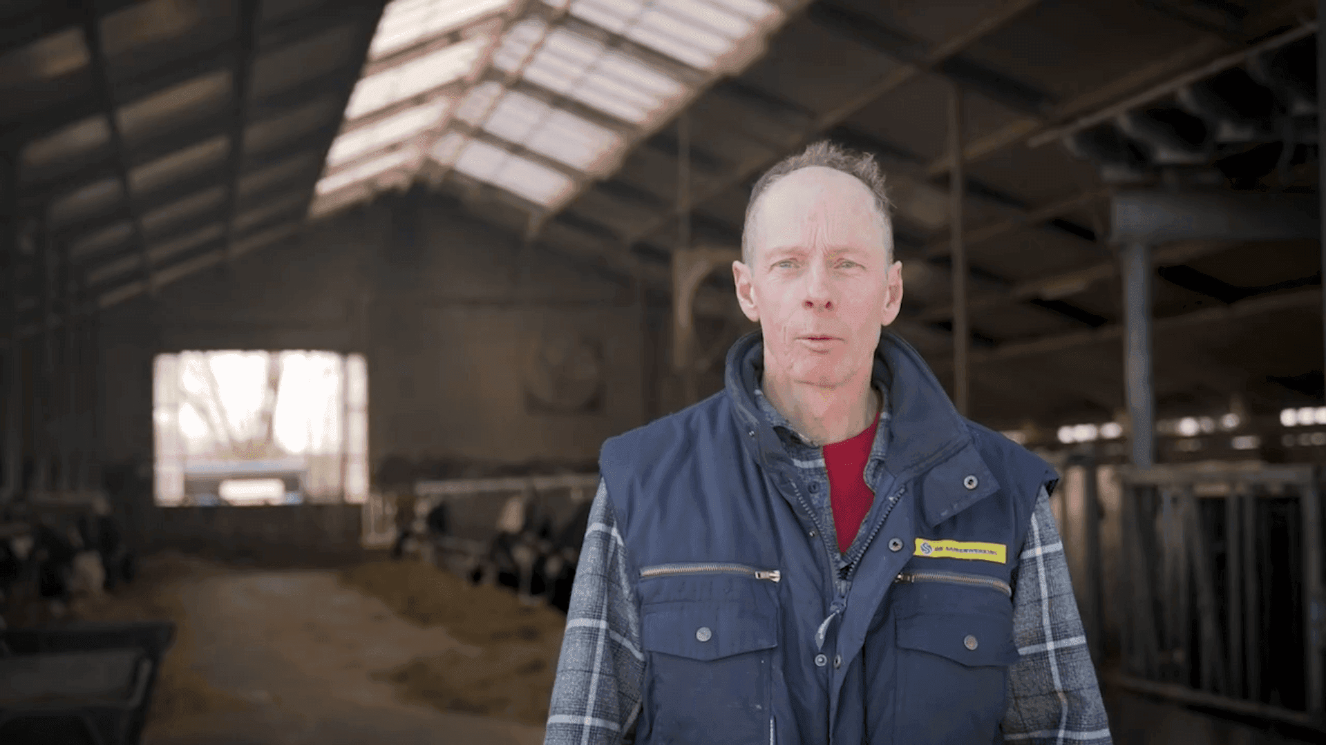 Johan Mulder in zijn melkveestal