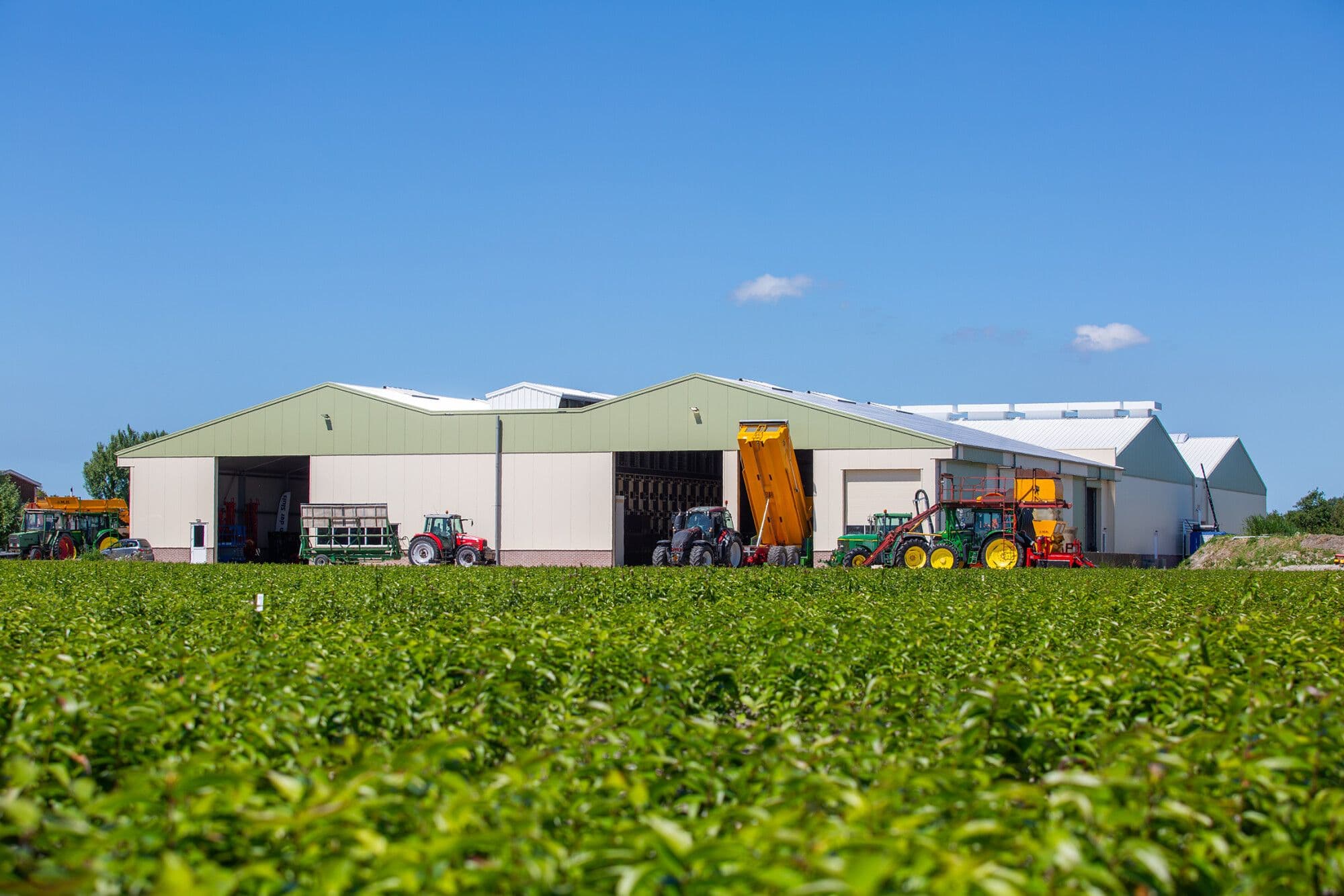Nieuwbouw bedrijfshal van Bloembollenbedrijf P.H. Brouwer in Den Helder