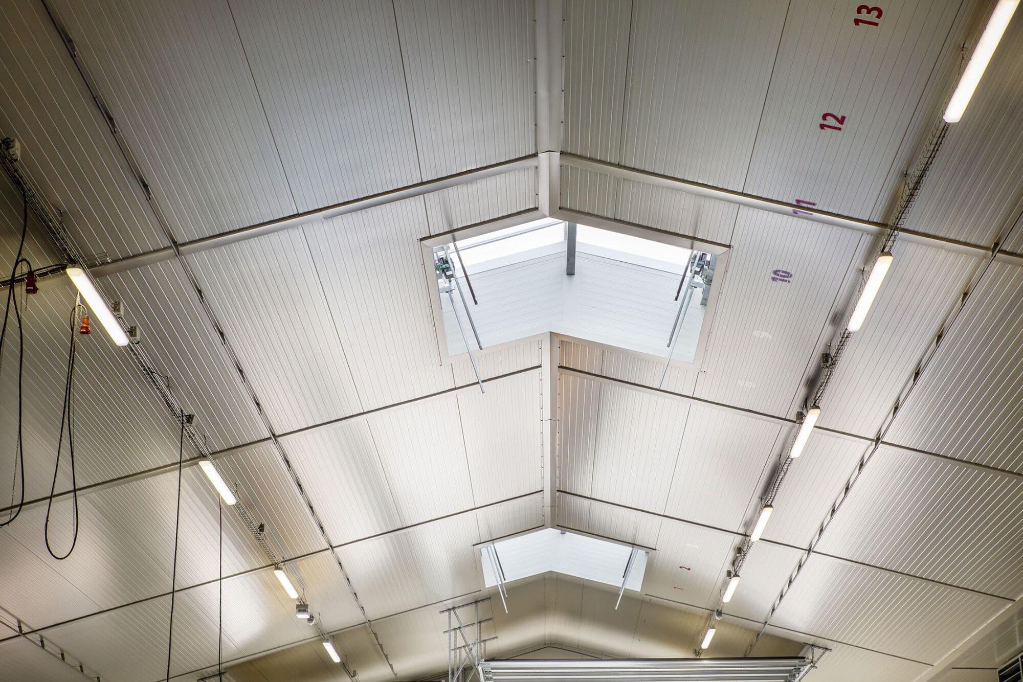 Interieur van de bedrijfshal met geïsoleerde dakpanelen bij bloembollenbedrijf P.H. Brouwer in Den Helder